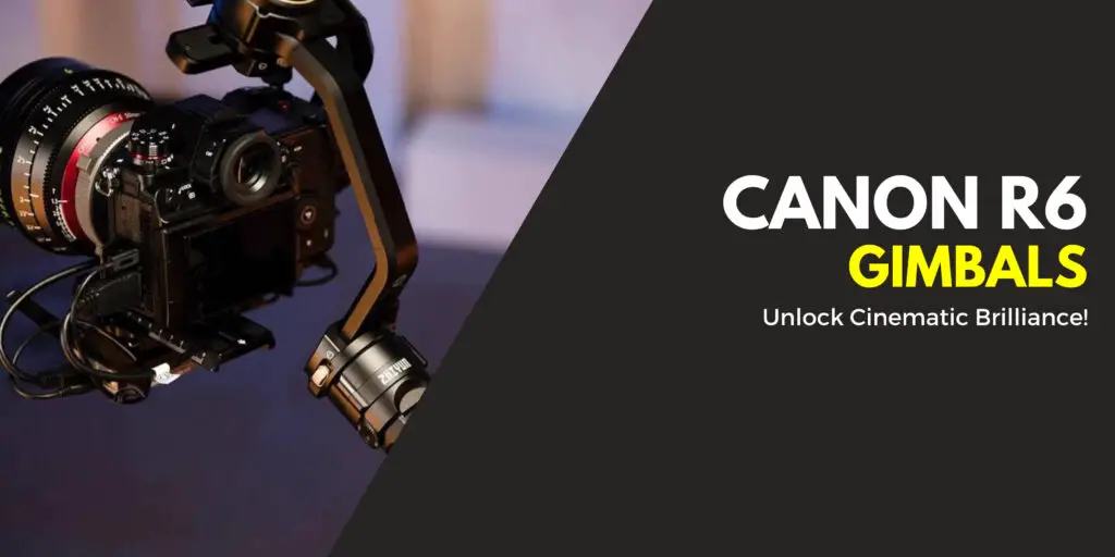 Best Gimbal For Canon R6