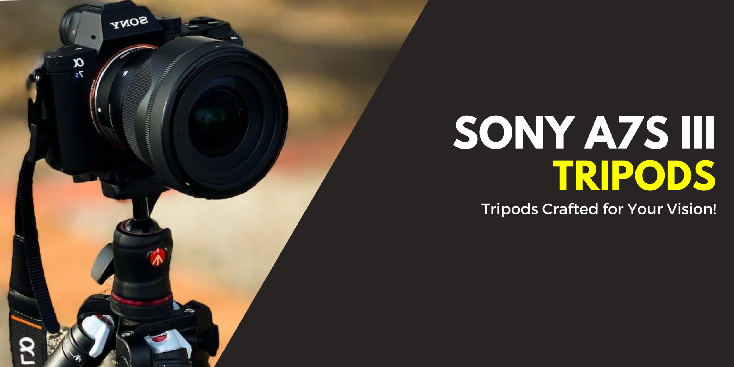 My Favorite 7 Best Tripods For Sony A7S III [2024 Tested] CamerasGuy
