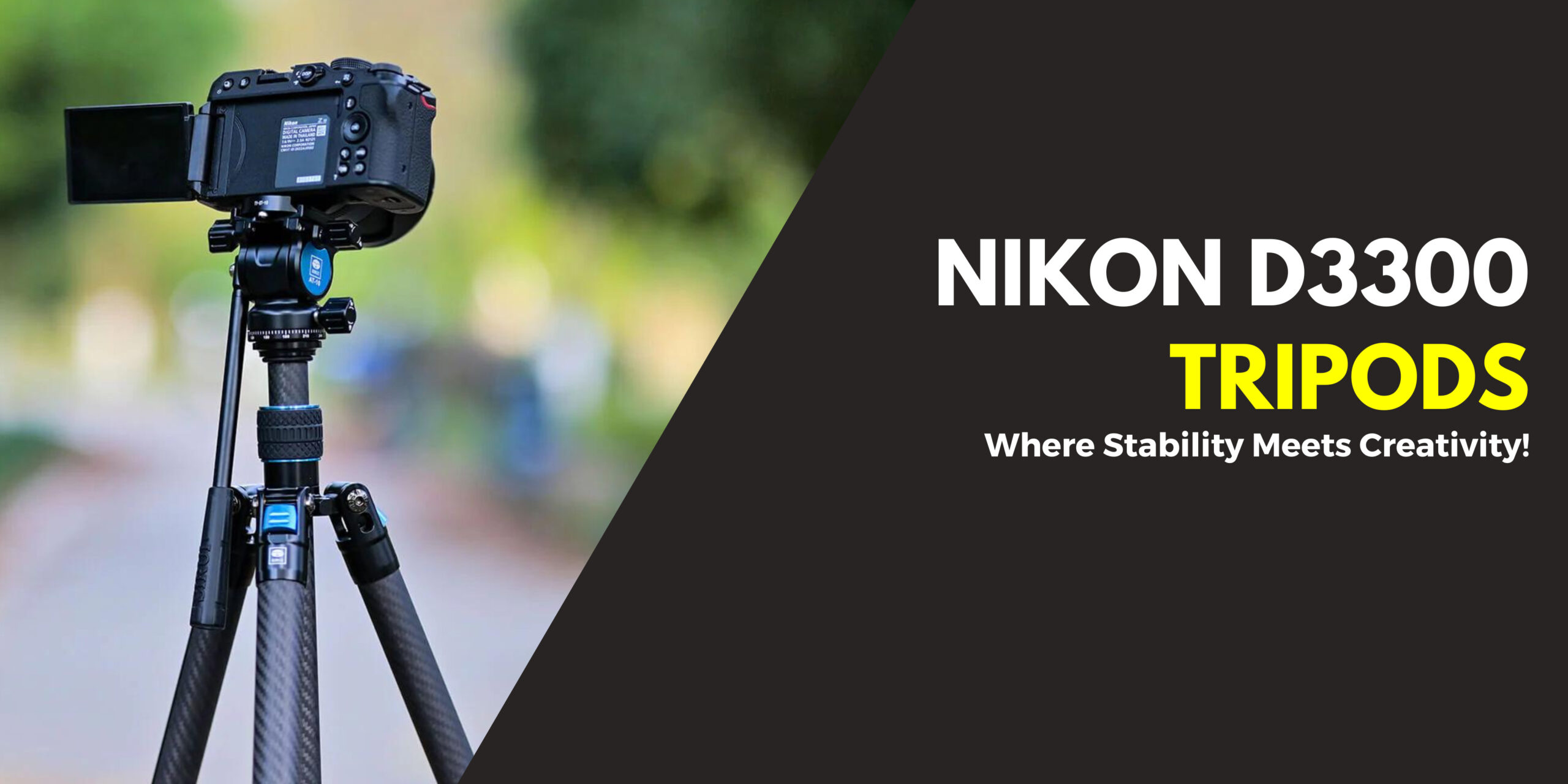 We Tested 7 Tripods For Nikon D3300 in 2024 CamerasGuy