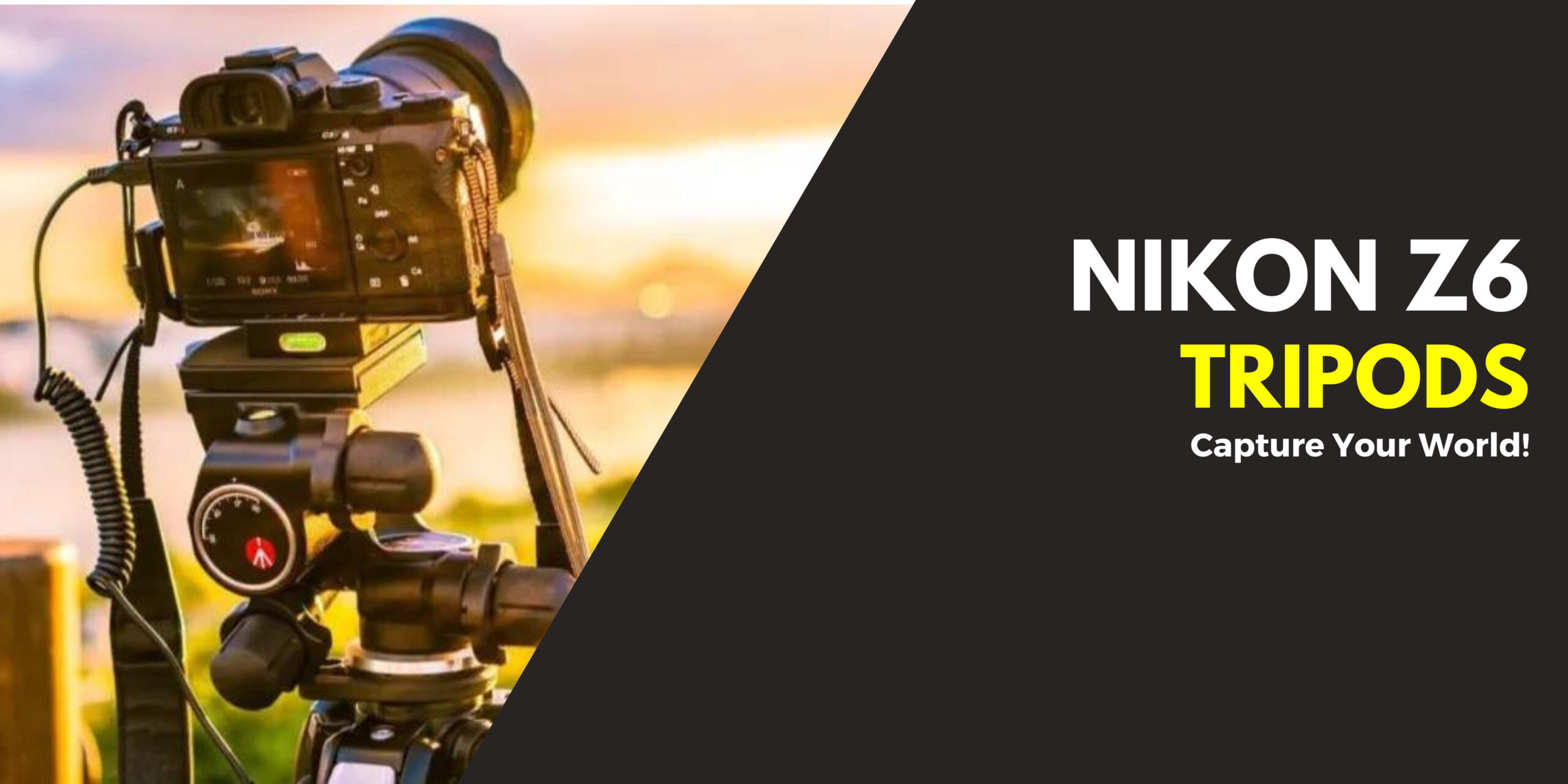 7 of the Best Tripods For Nikon Z6 And Z6ii in 2024 CamerasGuy