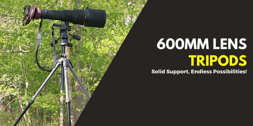 We Reviewed 7 Best Tripods For 600mm Lens in 2024 CamerasGuy