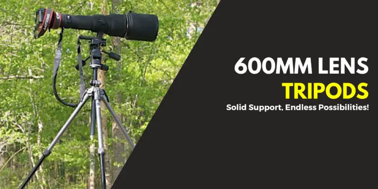 We Reviewed 7 Best Tripods For 600mm Lens in 2024