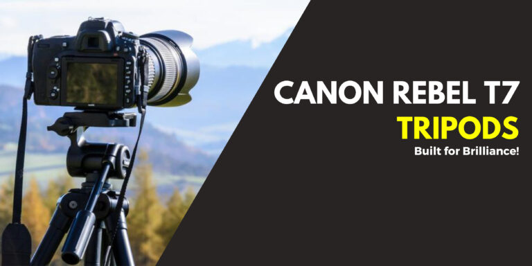 My List of Best Tripods for Canon Rebel T7 in 2024