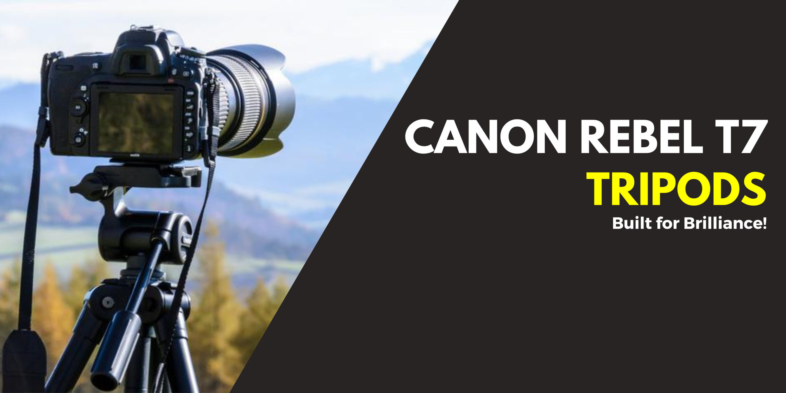 My List of Best Tripods for Canon Rebel T7 in 2024 CamerasGuy