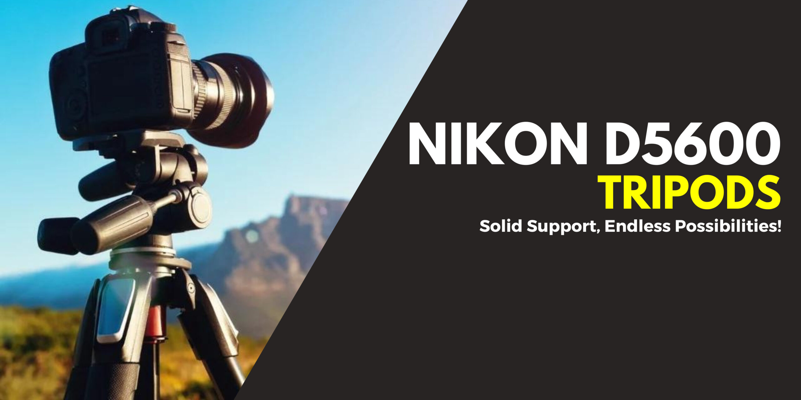 We Reviewed 7 Best Tripods For Nikon D5600 in 2024 CamerasGuy
