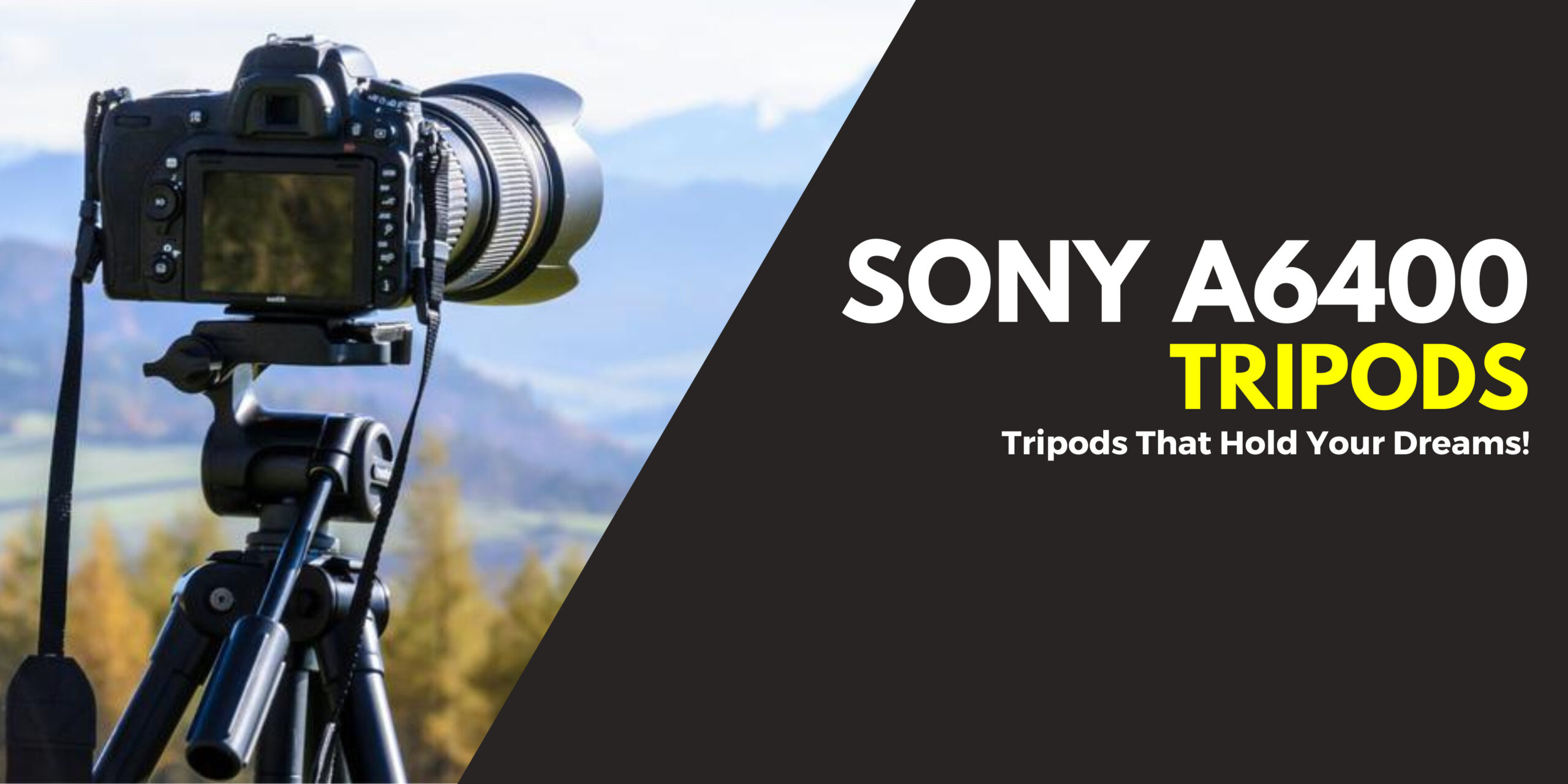 I Reviewed 7 Best Tripods For Sony A6400 in 2024 CamerasGuy
